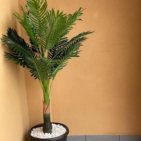 Astoria 5. K.k. Elenite Διαμέρισμα Sveti Vlas