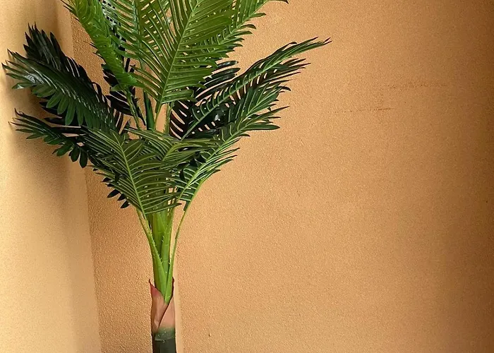 Astoria 5. K.k. Elenite Appartamento Sveti Vlas